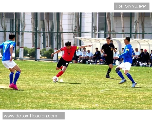 日漫中的足球明星们如何影响青少年对足球的热爱与追求