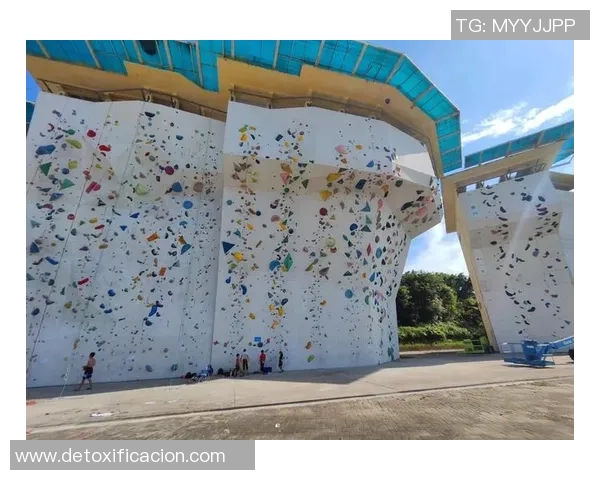 攀岩个人能力排行榜：广州攀岩队位居第1名