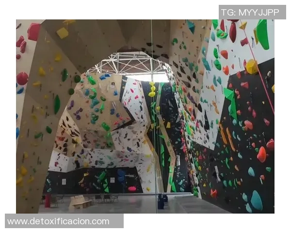 2026攀岩状态排名：武汉攀岩队创新高