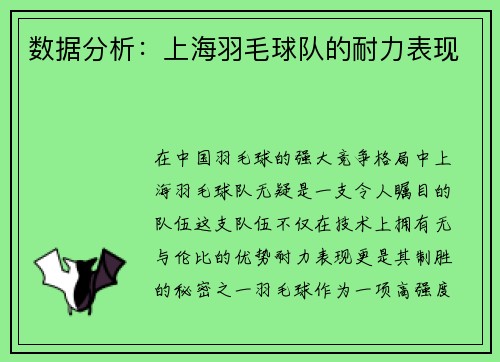 数据分析：上海羽毛球队的耐力表现