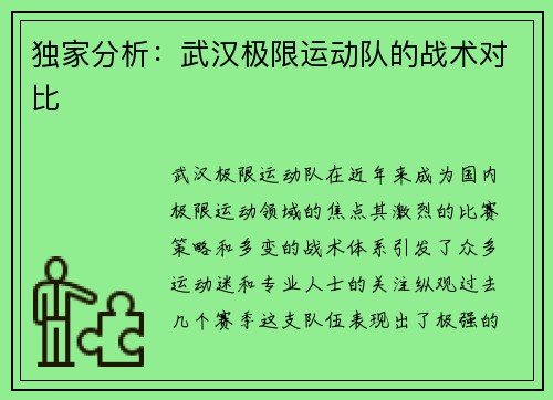 独家分析：武汉极限运动队的战术对比