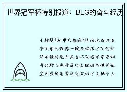 世界冠军杯特别报道：BLG的奋斗经历