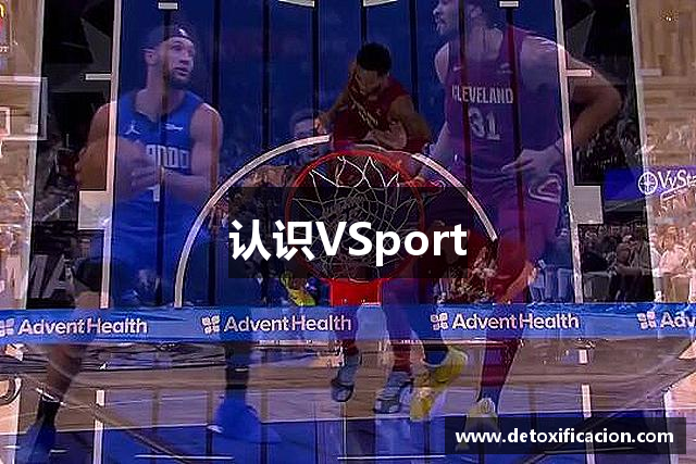认识VSport